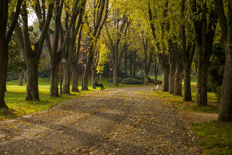 Pişmanlık Nedir? Nedenleri ve Baş Etme Yolları 2 Pişmanlık duygusunu yaşayan düşünceli bir kişi