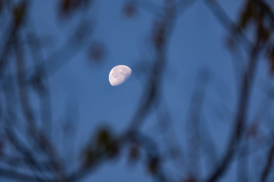Uyku Konuşması (Somniloqui) Nedir? Nedenleri ve Baş Etme Yolları 2 Uyku konuşması yaşayan bir kişi gece uyurken