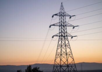 Kronotip türlerini gösteren sabah ve gece uyku düzeni