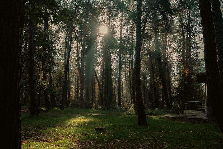 Mindfulness (Bilinçli Farkındalık) Nedir? Faydaları ve Teknikleri 2 Mindfulness uygulayan huzurlu bir kişi