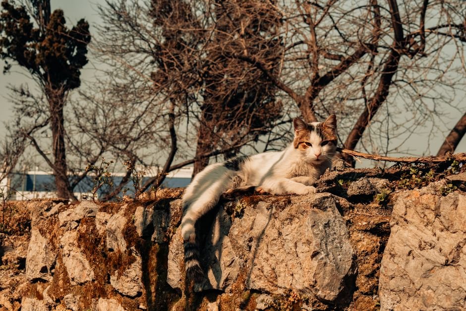 Hipervijilans yaşayan ve sürekli tetikte olan bir kişi